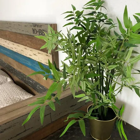 Appartement L'authentique à Honfleur Extérieur photo